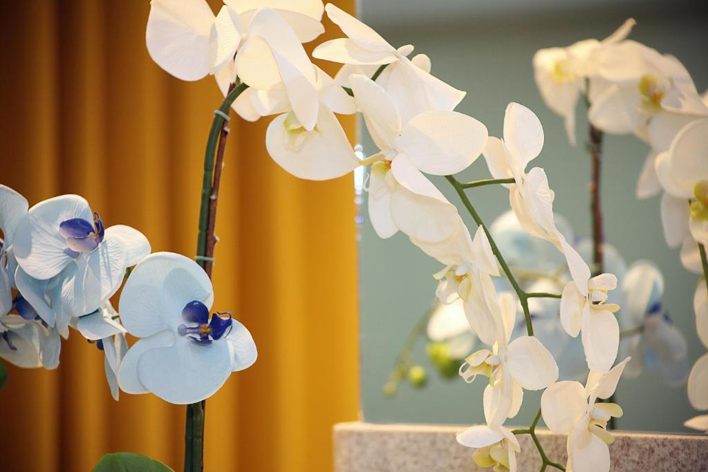 Elegance Hotel 3*